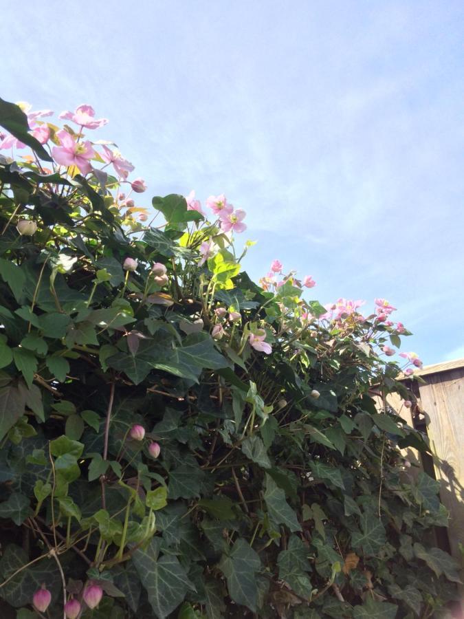 Bed & Breakfast Yerseke Esterno foto