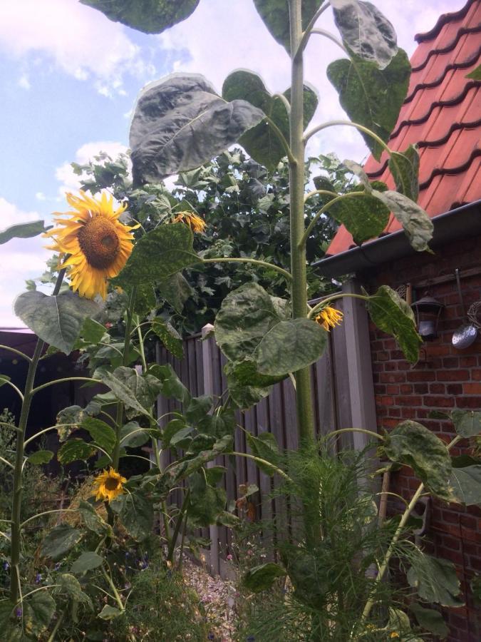 Bed & Breakfast Yerseke Esterno foto